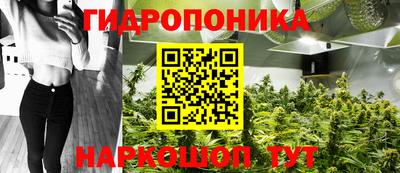 герыч Шелехов