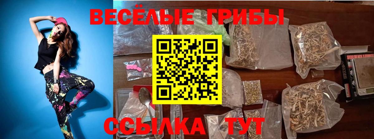 Псилоцибиновые грибы прущие грибы Симферополь
